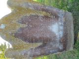 image of grave number 845182